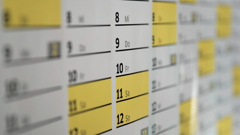 calendar, dates, schedule, days, wall calendar, year, meeting, office, planning, calendar, calendar, calendar, calendar, calendar, schedule, schedule